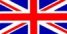 Allevamento Epagneul Breton del Lorenzotto - English