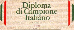 Breeding of the Lorenzotto - Diploma of Italian champion Bula