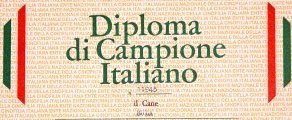 Breeding of the Lorenzotto - Diploma of Italian champion Epagnel Breton