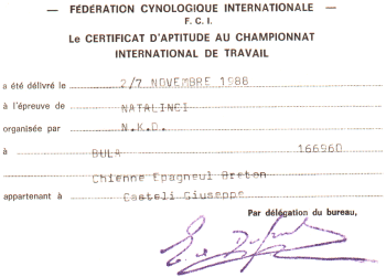 Allevamento del Lorenzotto - Federation Cynologique Internationale